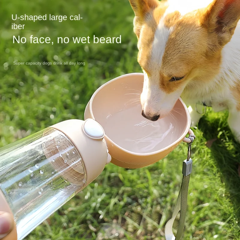 dog drinking from portable water bottle outdoors